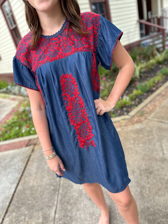 layerz clothing denim and red embroidered dress Wimberly dress 